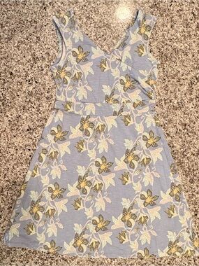 Patagonia Dress